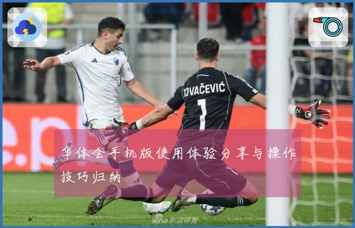 华体会手机版使用体验分享与操作技巧归纳